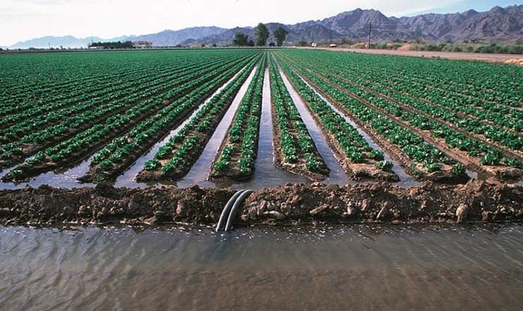 La ciencia aplicada gana presencia en soluciones para agua y agricultura
