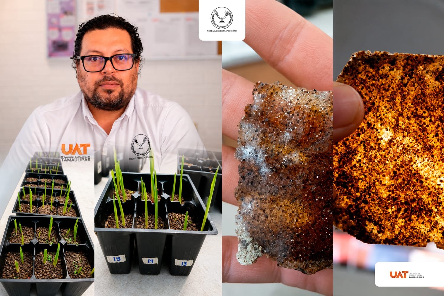 Investigación universitaria desarrolla bioplásticos con utilidad agrícola