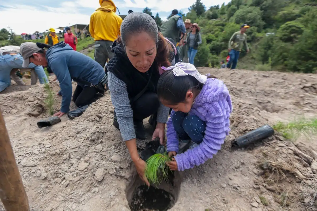 México inicia una jornada nacional de reforestación con participación de las 32 entidades