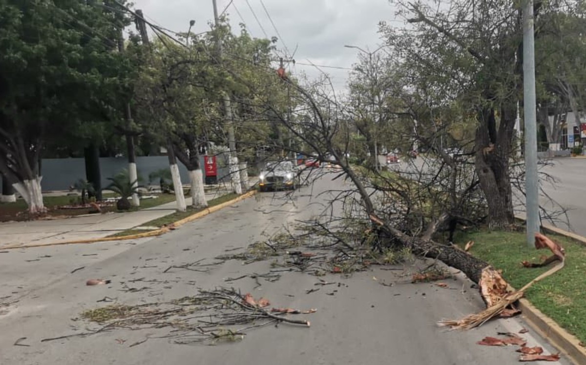 Frente frío 45 exige seguimiento ante lluvias, viento y calor simultáneo