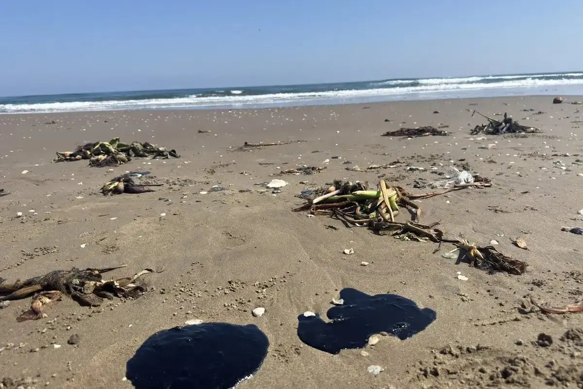Respuesta ambiental protege el litoral tamaulipeco ante residuos de hidrocarburo