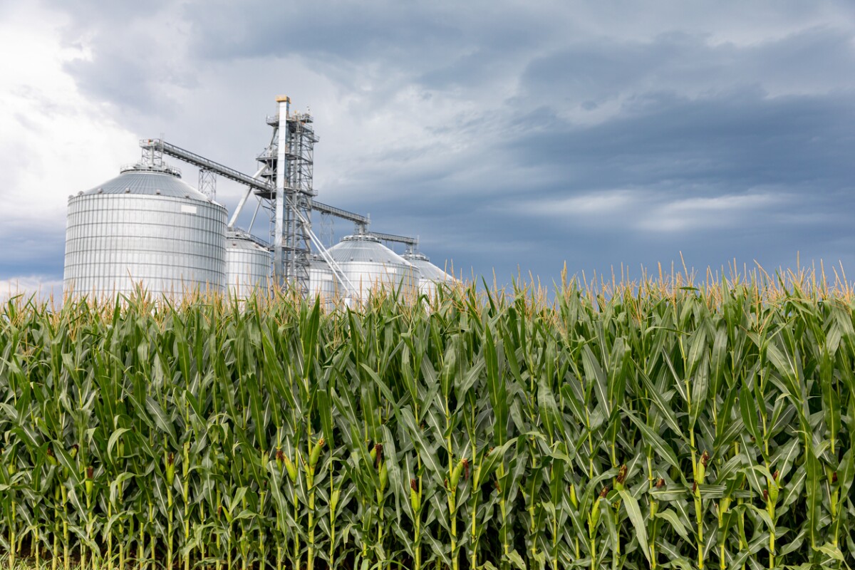Etanol de sorgo abre nueva ruta energética y productiva para Tamaulipas